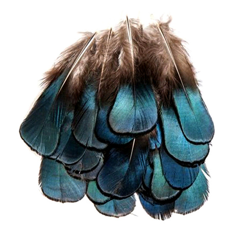 50/100Pcs Wholesale Blue Pheasant Feathers Plume Small Wedding Party Decor Natural Craft Feather Hair DIY Sewing Clothing Plumas ► Photo 1/6