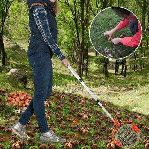 Walnuts Chestnuts Harvester Roller Nut Collector Retractable Aluminum Alloy Ball Garden Fruit Picker Family Orchards Tool ► Photo 1/6