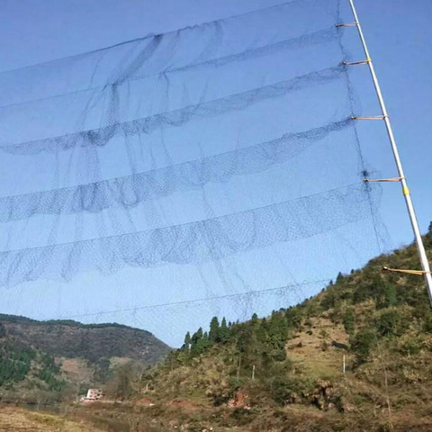 Black Nylon Anti Bird Net Mesh Prevent Hunting Catching Garden Tools Vegetable Farm Orchard Vineyard Protect Netting ► Photo 1/6