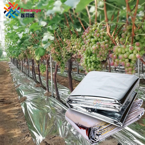 Outdoor Double Side Reflective Mylar Film Patch Greenhouse Agricultural Silver Coated Mulch Fruit Promoting Red Warm Blanket ► Photo 1/6