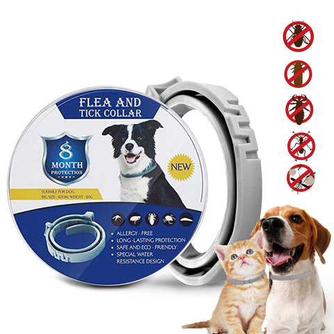 Flea And Tick Collar For Dogs Cats Up To 8 Month Flea Tick Dog Collar Anti-mosquito and insect repellent Pet collars ► Photo 1/6