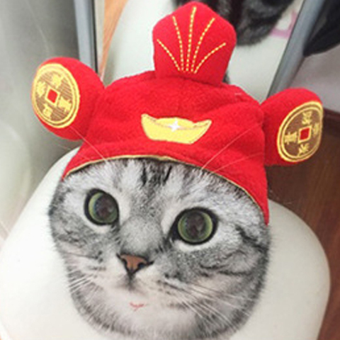 Pet headdress cute cat Teddy holiday dress up sun trick fortune headdress wig cat headgear hat ► Photo 1/6