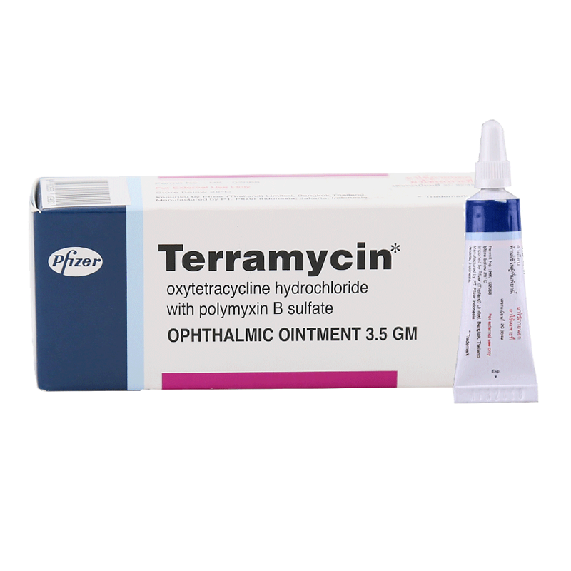 how do you give terramycin to a dog