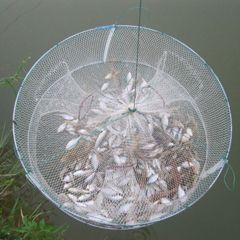 1PCs Portable Round Fishing Net Foldable Fish Shrimp Minnow Crab Bait Cast  Mesh 33*12cm Fish Catching Cage Fishing Accessories - Price history &  Review, AliExpress Seller - Larryuhnbgfxtrd Store