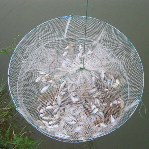 1PCs Portable Round Fishing Net Foldable Fish Shrimp Minnow Crab Bait Cast Mesh 33*12cm Fish Catching Cage Fishing Accessories ► Photo 1/5
