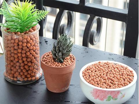 500g  Solid Ceramsite Expanded Clay Pebbles Grow Media Orchids Succulent Plant Hydroponics Pellets ► Photo 1/4