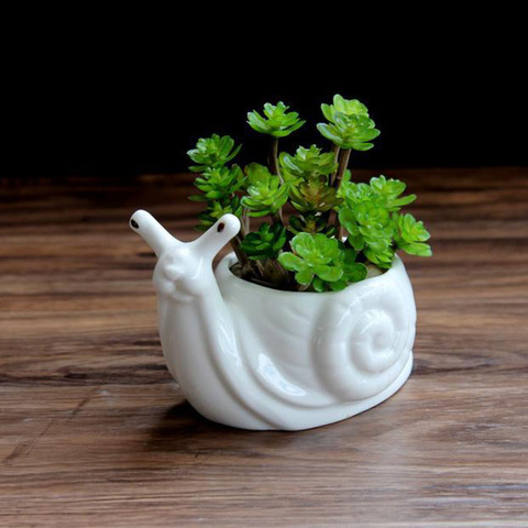 Wholesale Mini Ceramic Flower Pot Cartoon Snail Planter for Succulents Cactus Desktop Pots Home Garden Decor ► Photo 1/4