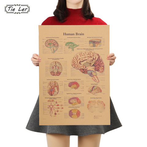 TIE LER The Human Structure Diagram Kraft Paper Poster Vintage Style Wall Sticker Home Bar Cafe Classroom Decor Painting ► Photo 1/6