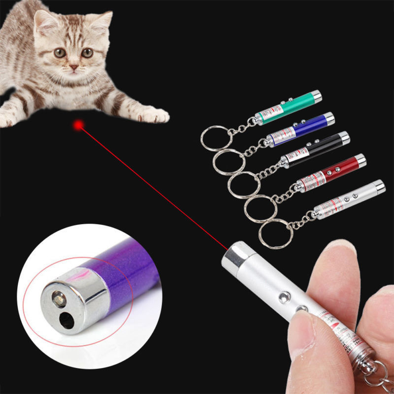 NEWEST 2-in-1 Laser Lazer Pen Pointer Keychain Keyring With torch Cat Dog Toy 