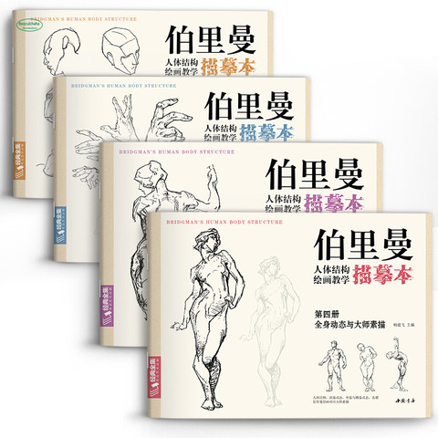 Sketch Character Structure Drawing Practice Tutorial Textbook Figure Body Structure Teaching Tracing Book ► Photo 1/4