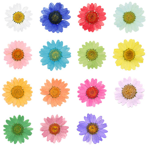 120pcs Pressed Press Dried Daisy Dry Flower Plants For Epoxy Resin Pendant Necklace Jewelry Making Craft DIY Accessories ► Photo 1/6