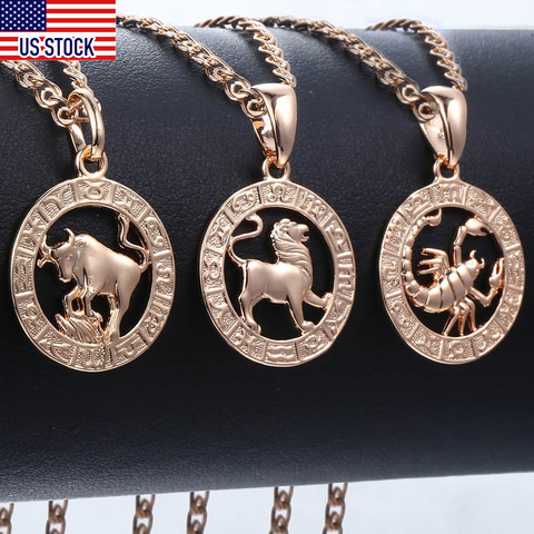 Davieslee 12 Zodiac Sign Constellation Pendant Necklace For Women Men Rose Gold Filled Round Shaped DGPM16 ► Photo 1/6