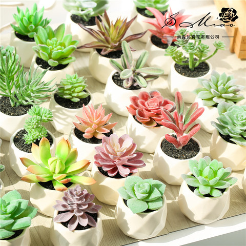 One Set Potted Artificial Succulents Plants Flower Arrangement Accessories Desktop Bonsai Artificial Flowers Grass Fake Plants ► Photo 1/4