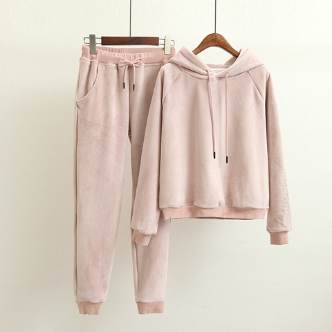 2022 autumn and winter Hooded casual fleece two piece set hoodies and pants Korean loose thick Solid tracksuit women ► Photo 1/6