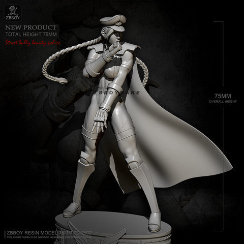 H75mm Resin figure kits model self-assembled TD-2502 ► Photo 1/5