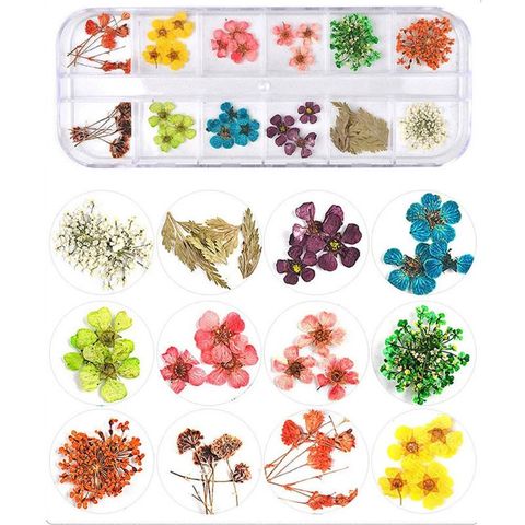 20styles 1 Box Real Pressed Flower Leaves Crystal Epoxy Filler Dried Daisy Flower Resin Art DIY Jewelry Making Nail Stickers Dec ► Photo 1/6