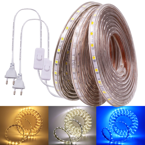 220V 5050 LED Strip Waterproof Outdoor Decoration 60LEDs/m Flexible Ribbon Tape LED Strip + Switch Plug ► Photo 1/6