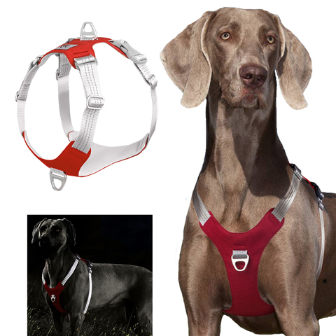 Pet Dog Harness No Pull Reflective Soft Breathable Dog Harness for Small Medium Large Dogs Nylon Pet Training Harness Adjustable ► Photo 1/6