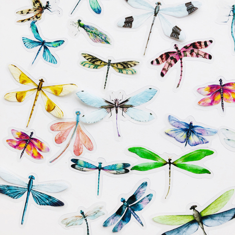 40 pcs /Pack Insects Dragonfly Butterfly PVC Specimen Decorative Stickers DIY Book Album Decoration ► Photo 1/4
