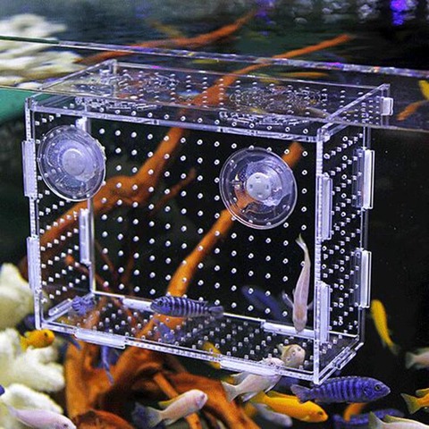 Hook Fish Tank Aquarium Small Fish Isolation Net Tropical Fish Breeding Box Production Box Acrylic Sucker Case ► Photo 1/4