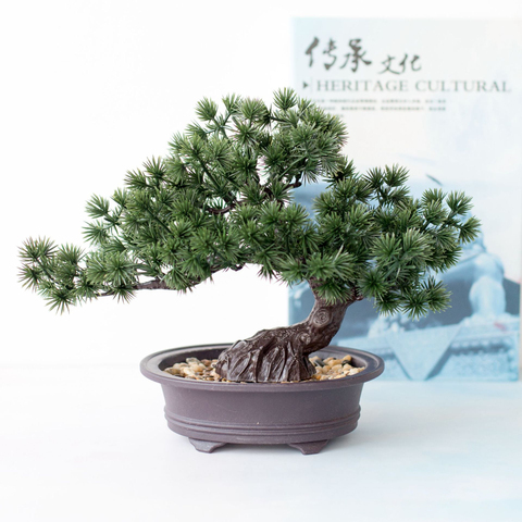 Cypress Bonsai Tree - Artificial & Faux Trees