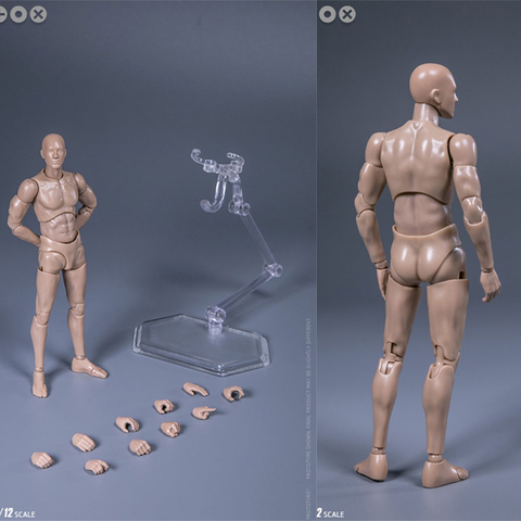 1/12 Scale Male Body for 6 inch Man Action Figures