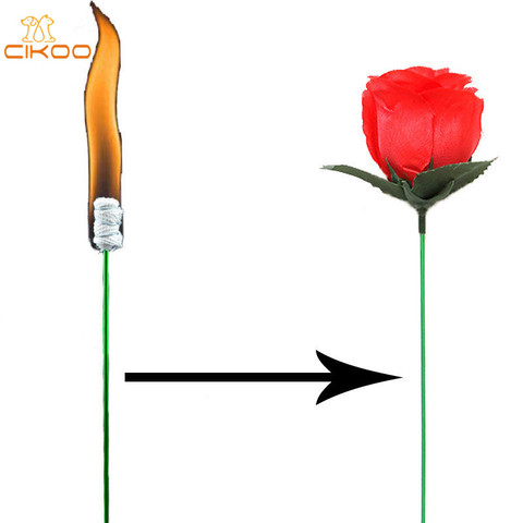 Magic Trick Rose Fun Present Torches Change Roses Magic Tricks Novelty Surprise Prank Joke Mystical Fun Toy ► Photo 1/6