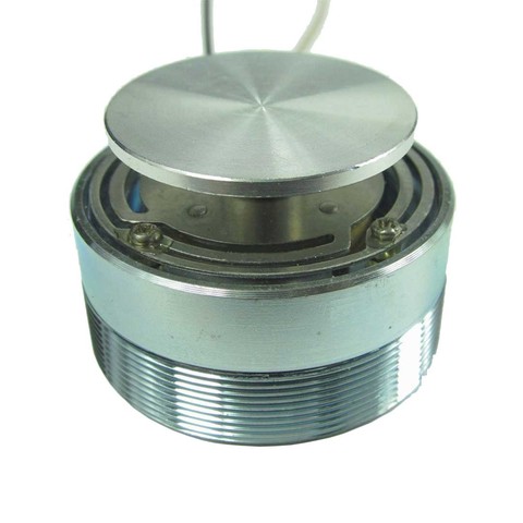 Vibrating Horn Full Frequency High Power 4Ω 8Ω  Resonant Loudspeaker ► Photo 1/5