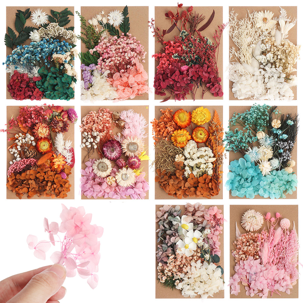 Pressed Flowers Dried Flower Resin Mold Fillings Nail Arts Pressed Flowers DIY