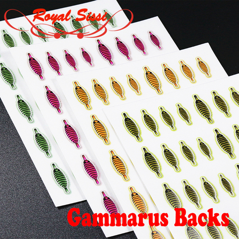 80pcs set realistic gammarus shrimp backs 4optioanl colors fly tying thin skin scud backs segment body wrap fly tying materials ► Photo 1/6