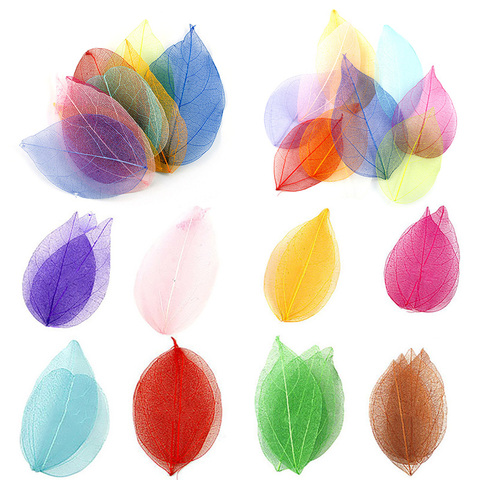 20Pcs/set Natural Leaf Vein Dried Nail Art Flowers Material For DIY Bookmarks Party Home Decor DIY Handmade Materials ► Photo 1/6