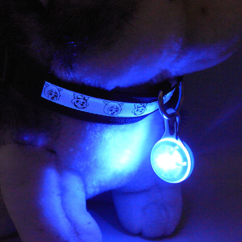 Pet Collar Pendant LED Night Light Security Luminous Flashlight Glowing Pet Leads Necklace ► Photo 1/1