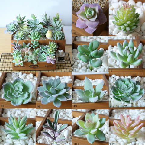 12PCS Artificial Succulent Flocked Plant Fake Cactus Lotus Unpotted Garden Decor Simulation Bonsai Desktop Decoration ► Photo 1/6