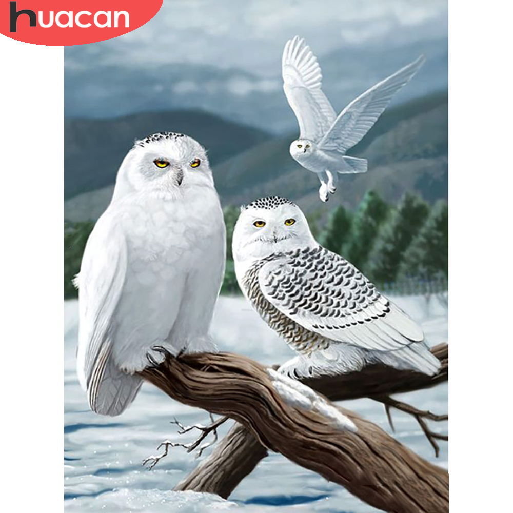 5D Diamond Painting owl Diamond Mosaic Painting Kits animals Full  Square/Round Drill Rhinestone Embroidery DIY Home Decor - AliExpress