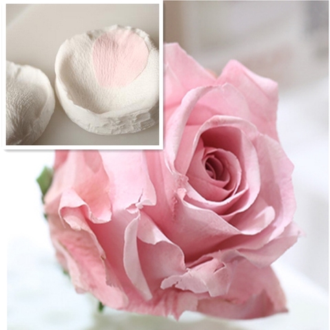 Rose Petals Veiner Sugar Tool Meridians Flower Silicone Cake Mold Simulation Gum Paste Mould K100 ► Photo 1/6