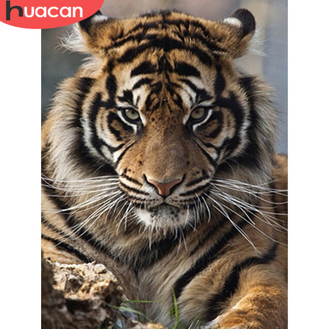 HUACAN Diamond Embroidery 5D DIY Diamond Painting Tiger Full Square/Round Drill Mosaic Painting Cross Stitch Decoration ► Photo 1/6