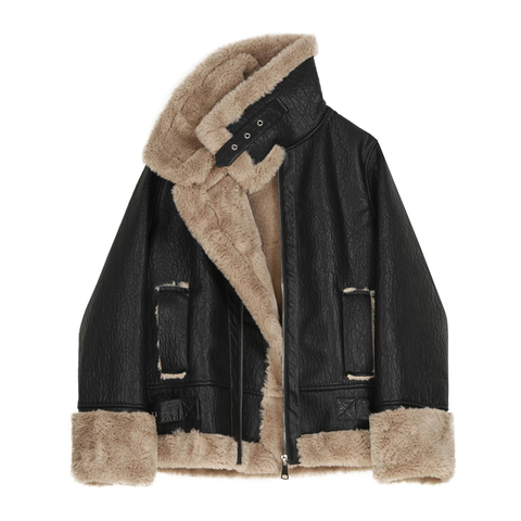 Fashion Faux Fur Coat Women Leather Jacket Autumn Winter Warm Plush Thick Outerwear Ladies Wool Fur Collar Zipper Basic Jackets ► Photo 1/2