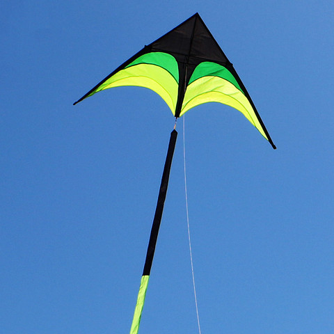 free shipping large delta kite for adults kite nylon toys fly kites children kite reel weifang kite factory ikite eagle bird new ► Photo 1/6