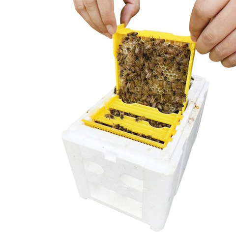 1 set Foam Harvest Hive Box  Beekeeping King Box Pollination Box Bee Breeding Foam Box Beekeeping Equipment ► Photo 1/6