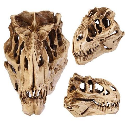 Resin Dinosaur Skull Fossils Teaching Skeleton Model Halloween Festival Decor ► Photo 1/6