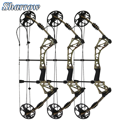 15-70lbs Compound Bow Hunting Pulley Bow & Arrow Sets Carbon Fiber Material Slingshot Crossbow Hunting Shooting High Quality ► Photo 1/6