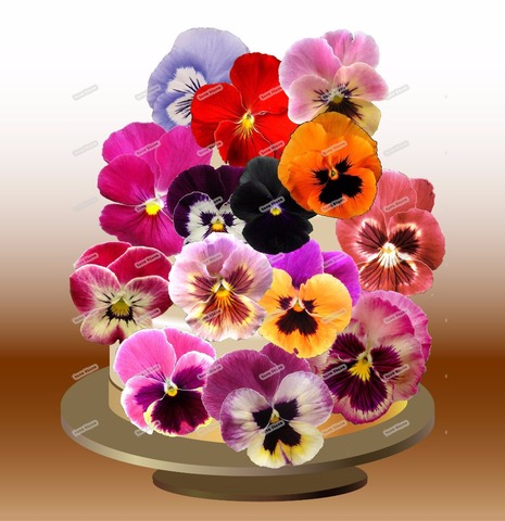 24 Pink Pansies Flower Edible cake topper wafer rice paper Pancy Cupcake topper Wedding Baby Shower Birthday cake decoration ► Photo 1/1