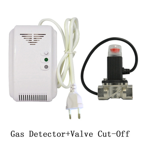 1 PCS 220VAC Combustible Gas Alarm Include Valve Cut Off Gas Leaking Coal Natural LPG Gas leak detector DN15 Kitchen Safe Device ► Photo 1/6