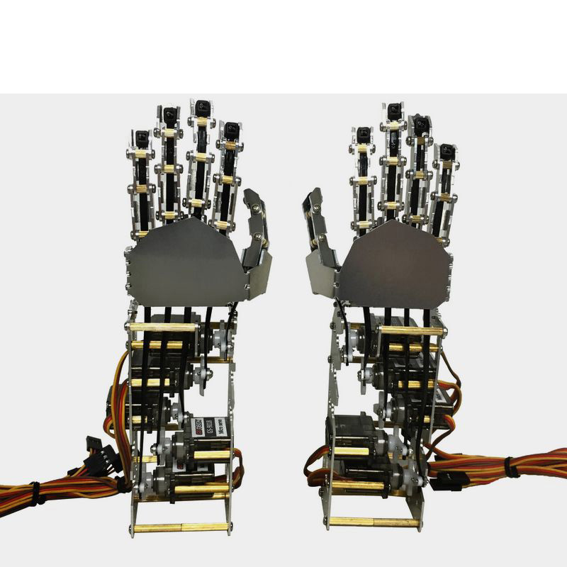 5 Dof Metal Hand Palm Bionic Mechanical Finger Humanoid Robot 5 Axis 