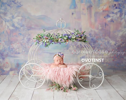 Dvotinst Newborn Photography Props Baby Iron Princess Cinderella Carriage Prop Posing Pumpkin Car Poser Fotografia Photo Props ► Photo 1/5