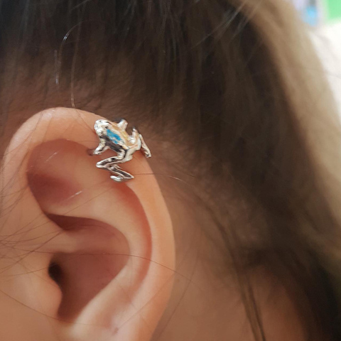 2022 Fashion Frog Ear Cuffs Siliver Ear Cuff Clip Earrings For Women Earcuff No Piercing Fake Cartilage Earrings ► Photo 1/6