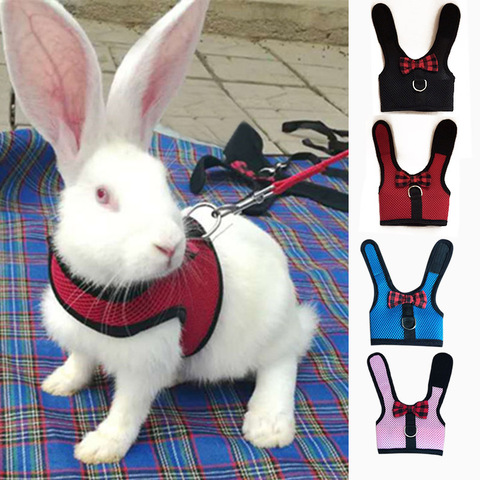 Pet Mesh Soft Harness With Leash Small Animal Vest Lead for Hamster Rabbit Bunny Small animal pet accessories Belt lead set ► Photo 1/6