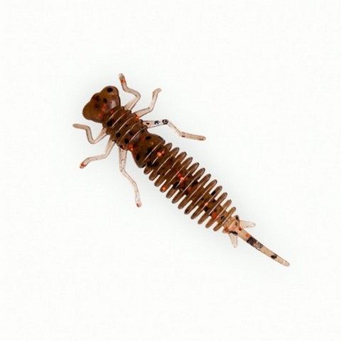 Larva 1.6 inch (43mm) (10 pcs/pack) ► Photo 1/5