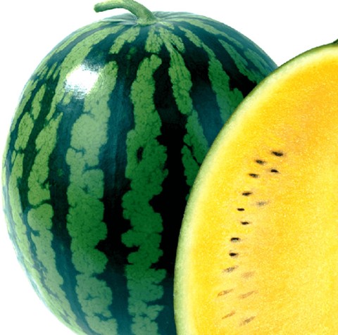 Watermelon yellow early SEEDS 10 PCS ► Photo 1/2