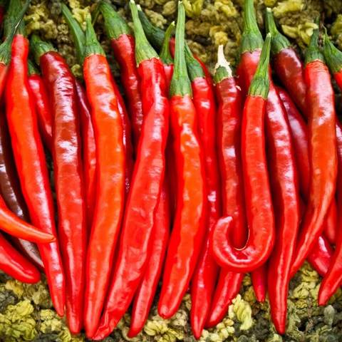 Pepper spicy cayenne seeds 10 PCs ► Photo 1/2